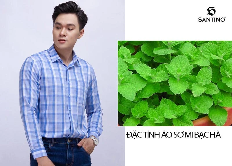 Những ưu điểm vượt trội của dòng áo sơ mi bạc hà