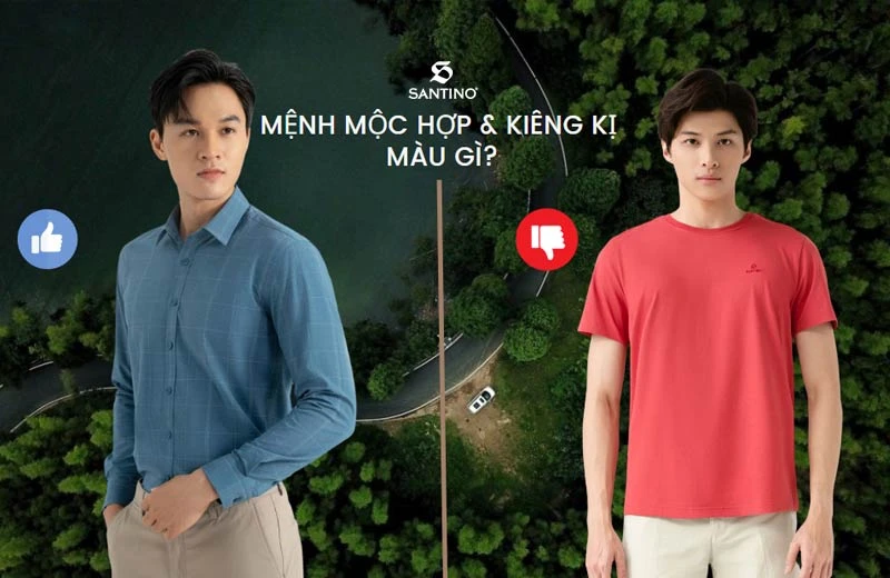 Nam mệnh Mộc hợp quần áo màu gì phù hợp, may mắn?