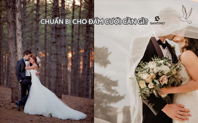 Kế hoạch chung cho đám cưới diễn ra hoàn hảo nhất