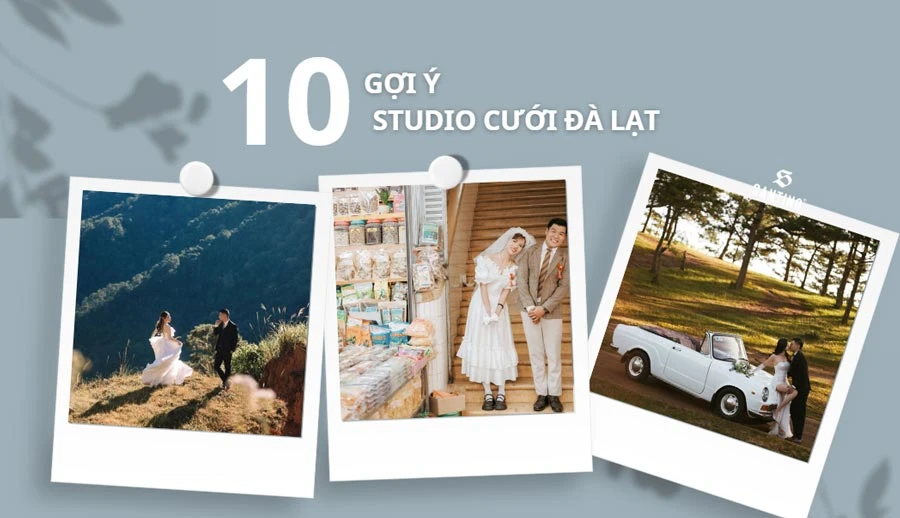 Gợi ý 10+ studio chụp ảnh cưới ở Đà Lạt đẹp và concept nên chụp