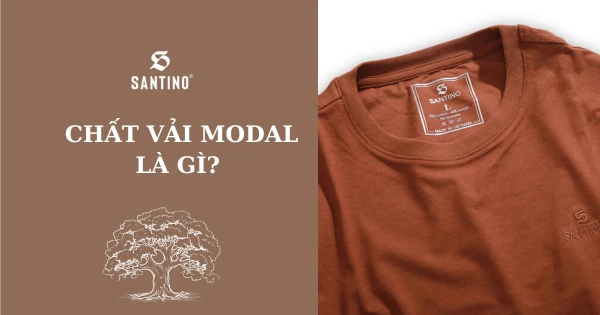 Chất liệu vải modal là gì? Quần áo vải modal mặc thế nào?