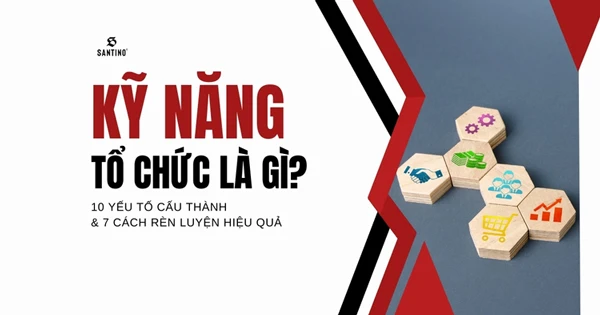 Kỹ năng tổ chức là gì? 10 yếu tố cấu thành và 7 cách rèn luyện hiệu quả