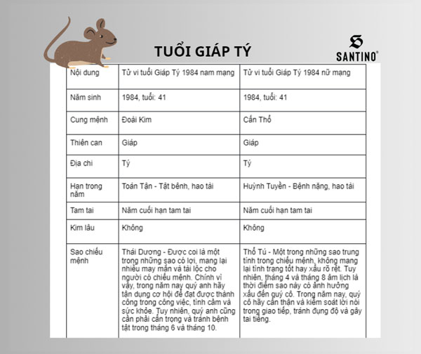 tử vi tuổi tý 2024