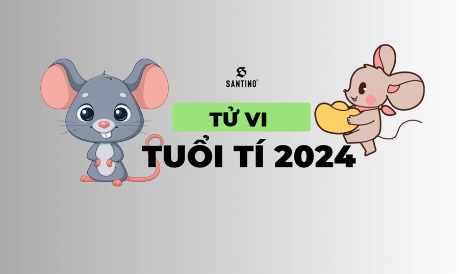 Tử vi 2025 tuổi Tý