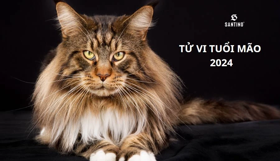 Tử vi tuổi Mão 2024: Thường xuyên sai sót trong công việc