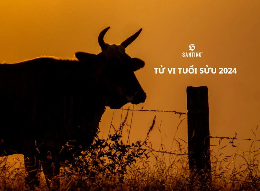 Tử vi tuổi Sửu 2024: Nhiều biến động, thách thức