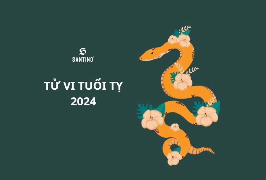 Tử vi tuổi Tỵ (tuổi rắn) 2024: Cuộc sống nhẹ nhàng nhưng nhiều bất ngờ nhỏ