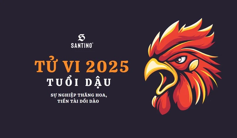 Từ vi tuổi Dậu 2025: Sự nghiệp thăng hoa, tiền tài dồi dào