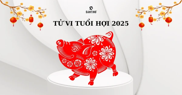 Tử vi tuổi Hợi 2025: Gặp nhiều biến động và thách thức do ảnh hưởng của Thái Tuế và Tam Tai