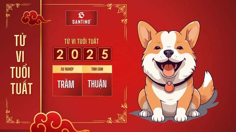 Tử vi tuổi Tuất 2025: Nhiều trầm ít lợi, thận trọng sức khỏe