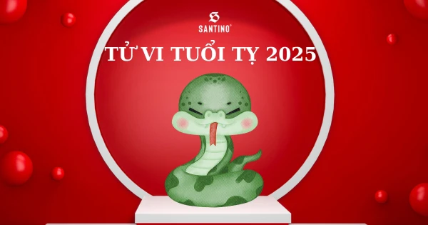 Tử vi tuổi Tỵ 2025: Năm bản mệnh và những điều cần lưu ý